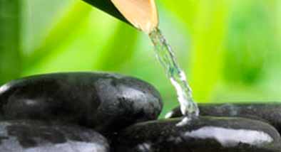 INFUSIONES MEDICINALES INFUSIONES MEDICINALES