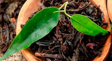 PRINCIPALES VARIEDADES DE TÉ NEGRO PRINCIPALES VARIEDADES DE TÉ NEGRO