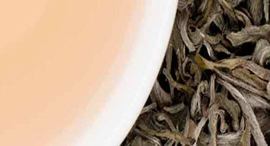 PROPIEDADES DEL TÉ BLANCO PROPIEDADES DEL TÉ BLANCO