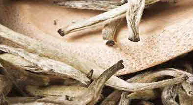 BENEFICIOS DEL TÉ BLANCO BENEFICIOS DEL TÉ BLANCO