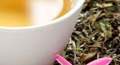 TÉ BLANCO AGUJAS DE PLATA, UN PAI MU TAN MUY ESPECIAL TÉ BLANCO AGUJAS DE PLATA, UN PAI MU TAN MUY ESPECIAL