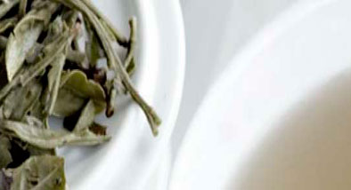 TÉ BLANCO PARA ADELGAZAR TÉ BLANCO PARA ADELGAZAR