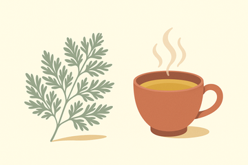 Ilustración de planta de artemisa junto a una taza de infusión humeante, estilo minimalista con paleta terracotta y verde salvia