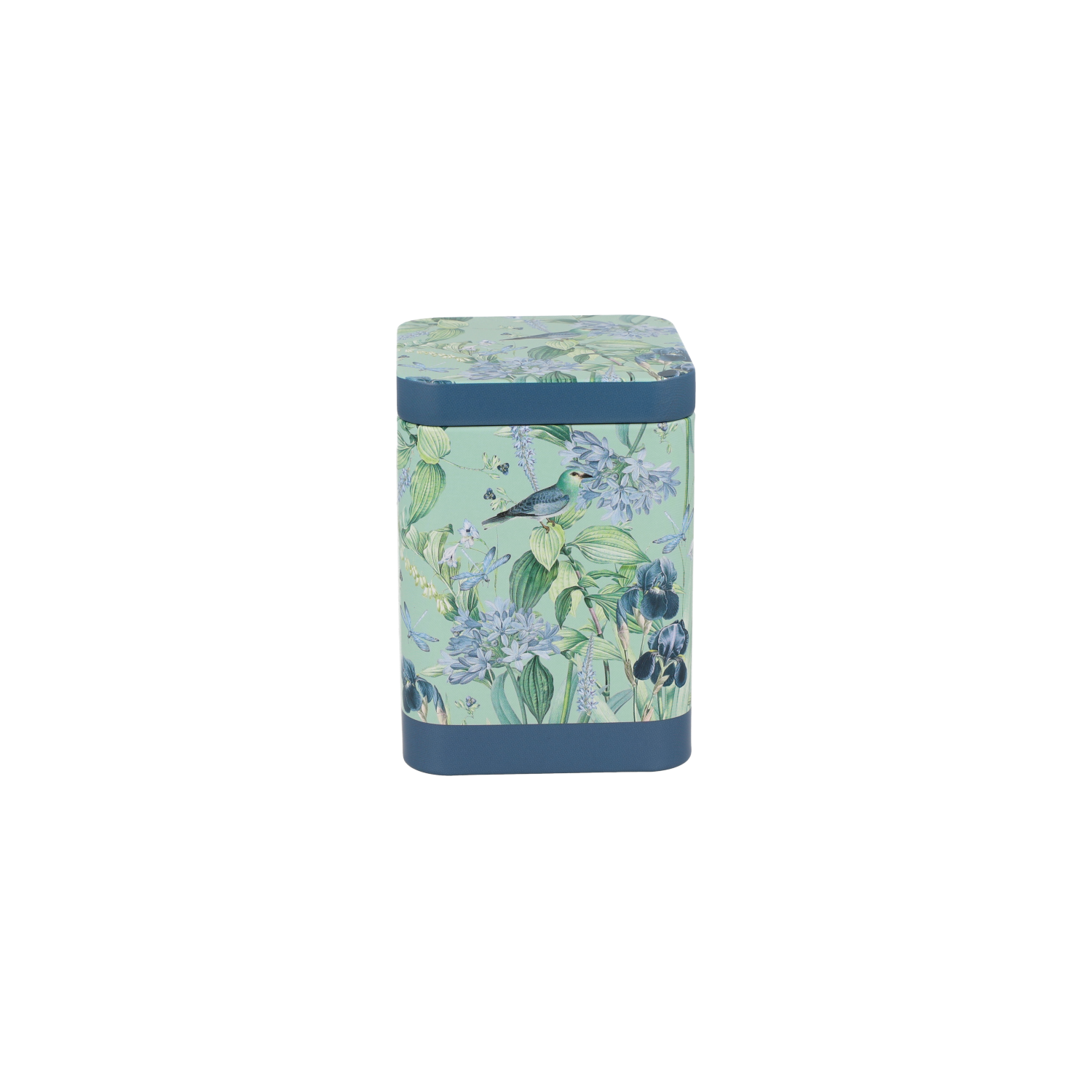 Lata colibrí azul 100 g