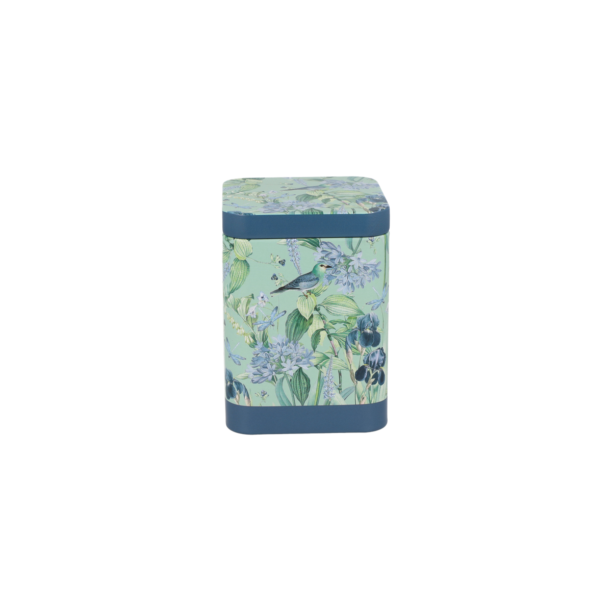 Lata colibrí azul 100 g