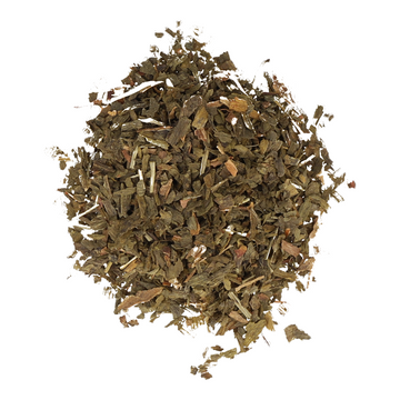 Ginkgo Biloba