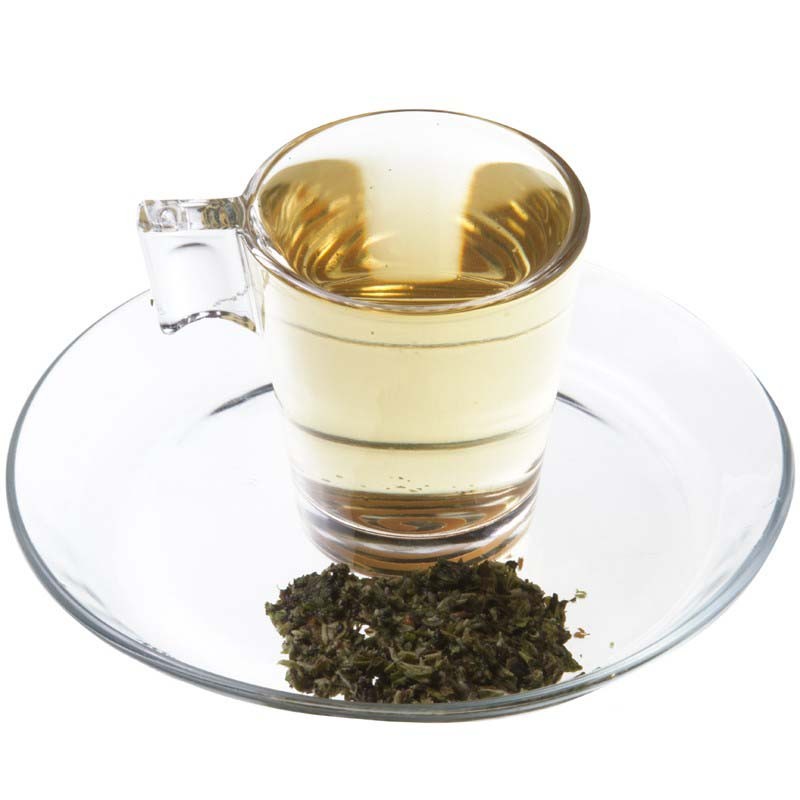 Infusión Menta Poleo